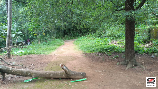 House plot for sale near Thalayolaparambu, Kottayam