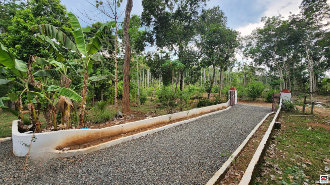 Land with house for sale near Pazhayannur, Thrissur