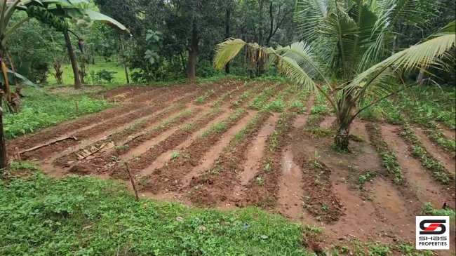 Land with house for sale near Pazhayannur, Thrissur