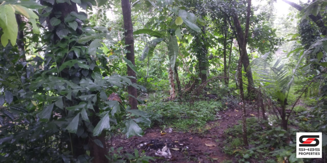 House plot for sale in Kolangattukara, Thrissur