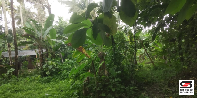 House plot for sale in Kolangattukara, Thrissur