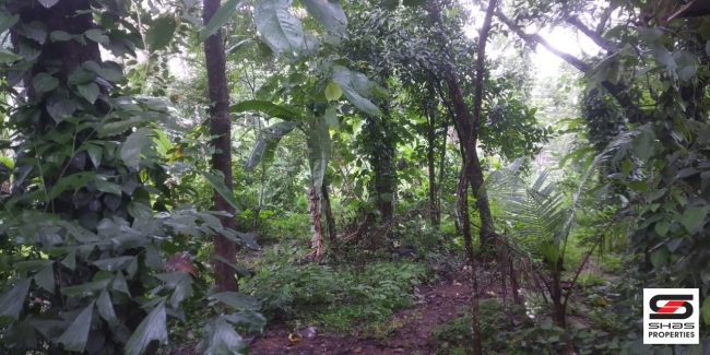 House plot for sale in Kolangattukara, Thrissur