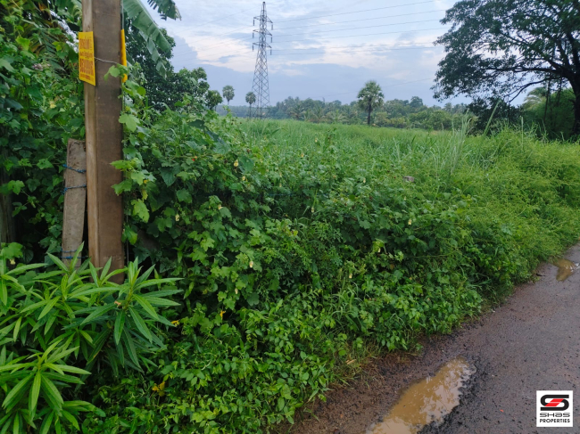 Plot for sale in Chandranagar, Palakkad