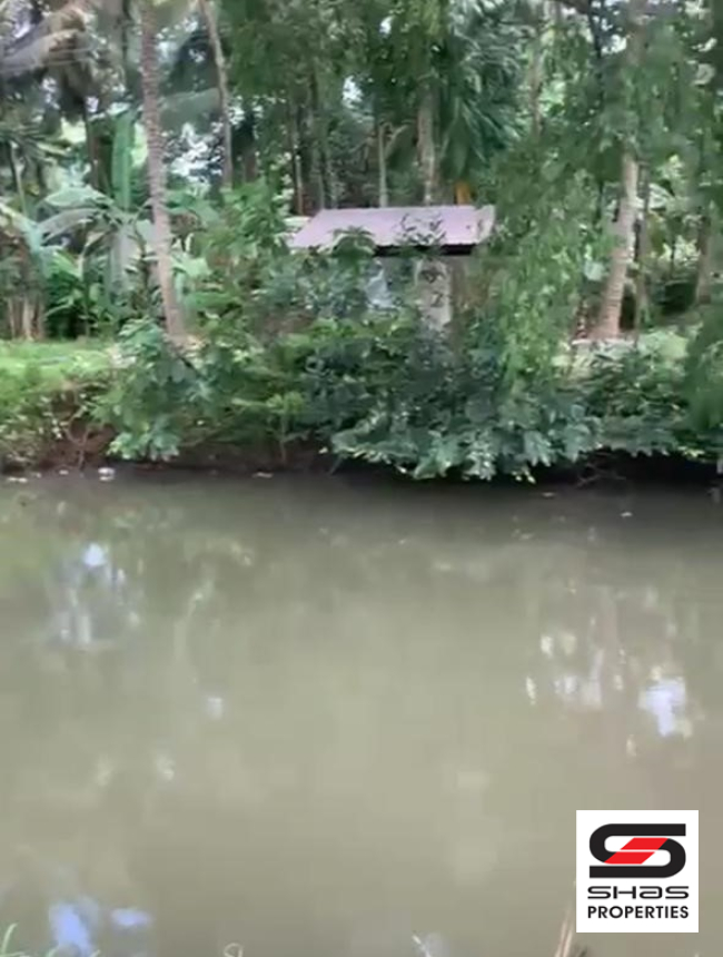 Mango farm for sale in Vilayodi, Palakkad