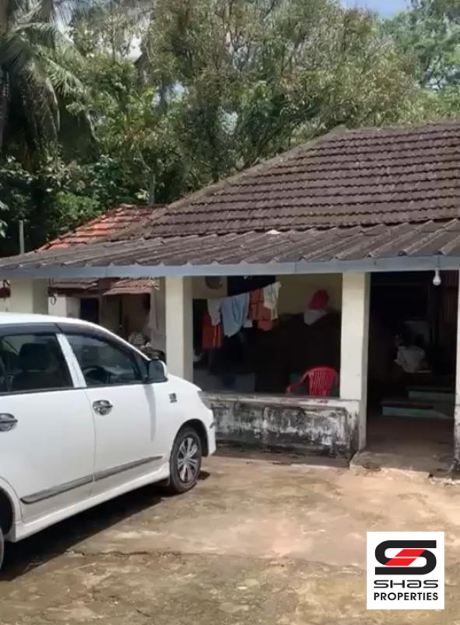Mango farm for sale in Vilayodi, Palakkad
