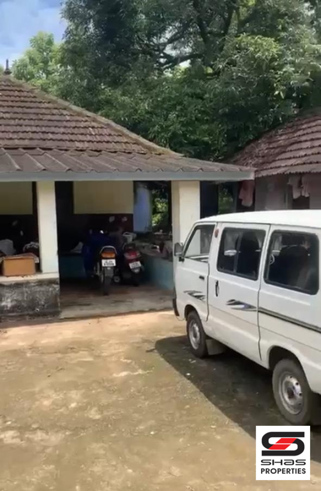 Mango farm for sale in Vilayodi, Palakkad