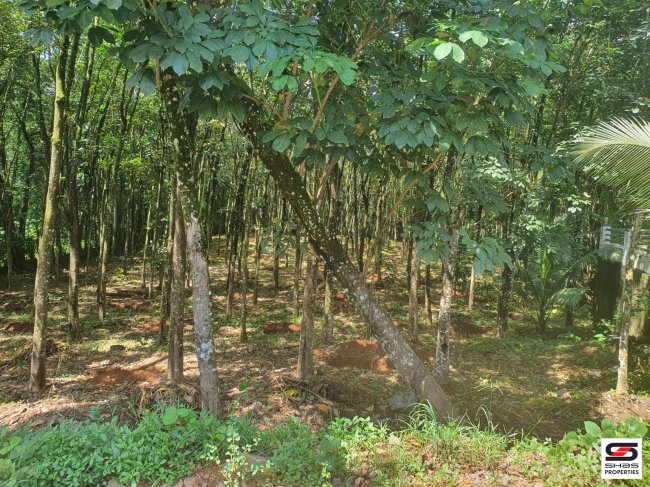 Rubber plot for sale in Kulathoormoozhi, Kottayam
