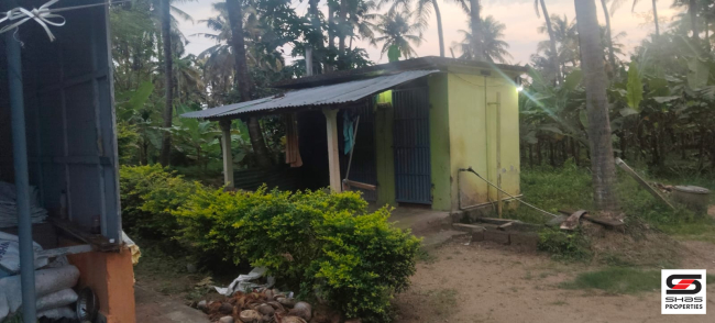 Farmland with house for sale near Gopalapuram, Palakkad