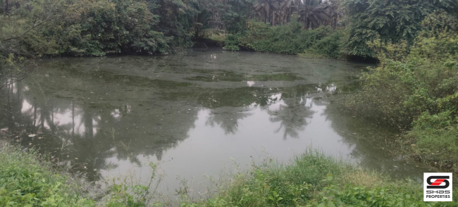 Farmland with house for sale near Gopalapuram, Palakkad
