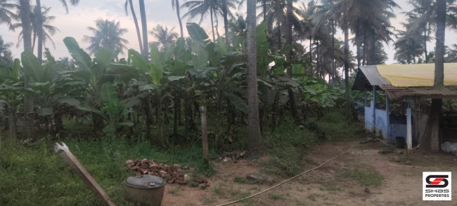 Farmland with house for sale near Gopalapuram, Palakkad