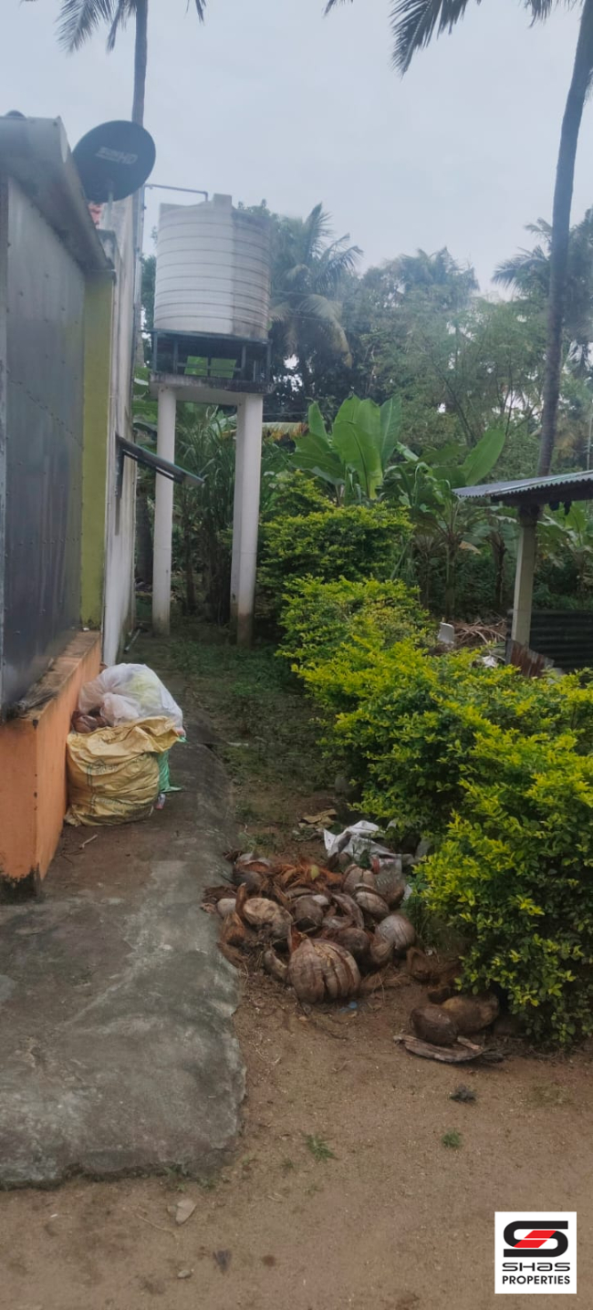 Farmland with house for sale near Gopalapuram, Palakkad