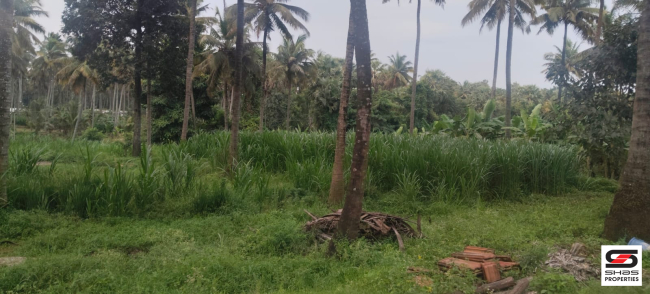 Farmland with house for sale near Gopalapuram, Palakkad