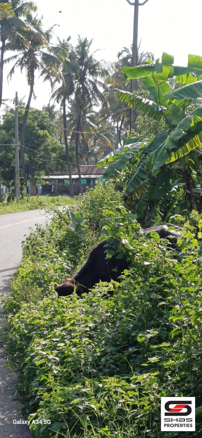 Farmland with house for sale near Gopalapuram, Palakkad