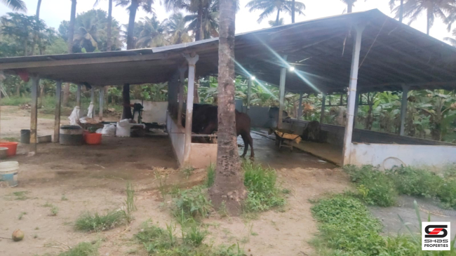 Farmland with house for sale near Gopalapuram, Palakkad