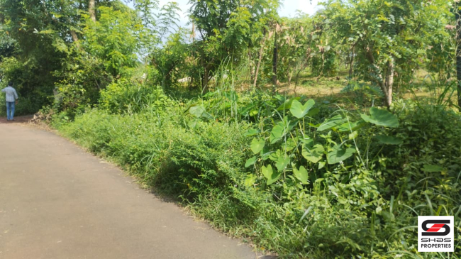 Land for sale near Kuthuparamba, Kannur