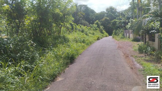 Land for sale near Kuthuparamba, Kannur