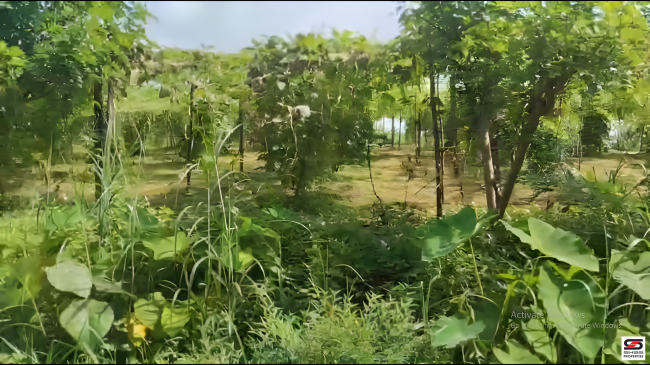 Land for sale near Kuthuparamba, Kannur