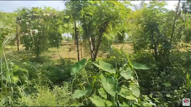 Land for sale near Kuthuparamba, Kannur
