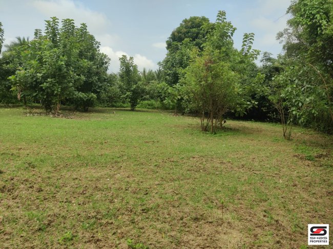 House plot for sale in Menonpara, Palakkad