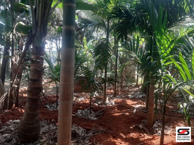 Plot for sale in Vaniyamkulam, Palakkad