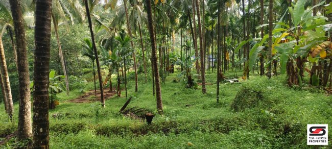 Land for sale in Thamarassery, Kozhikode
