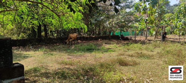 House plot for sale in Mulanthuruthy, Kochi