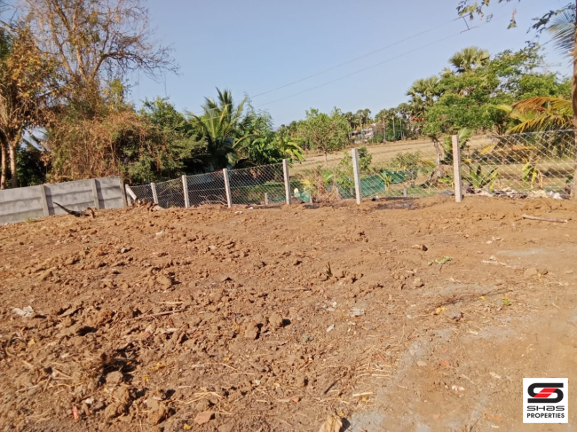 House plot for sale in Kinassery, Palakkad