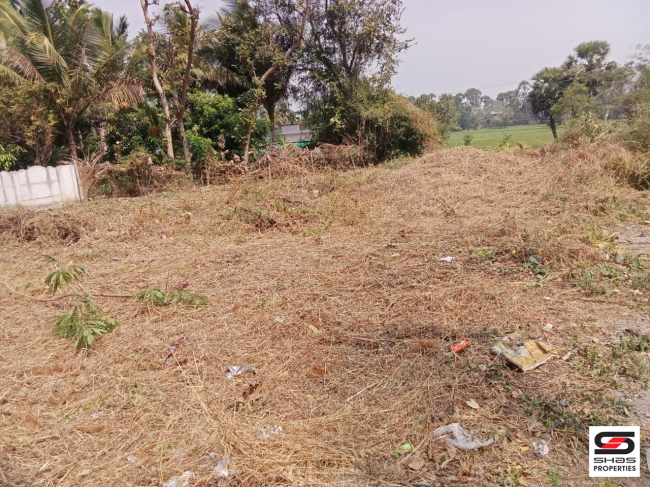 House plot for sale in Kinassery, Palakkad