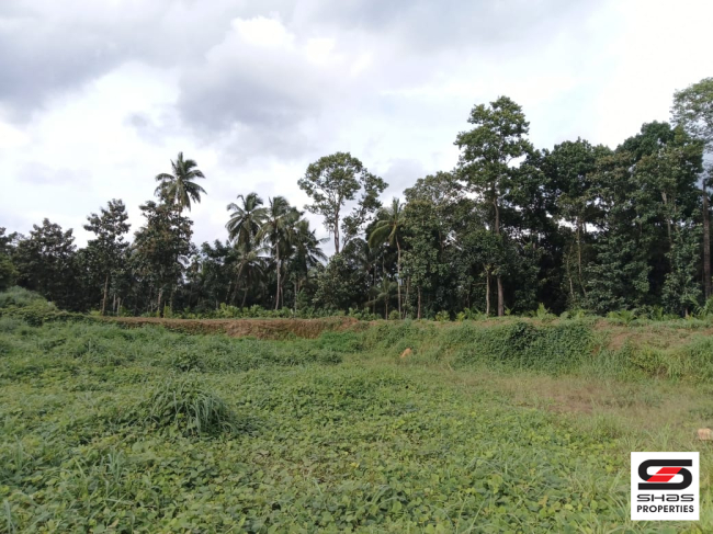 Commercial land for sale in Kongad, Palakkad