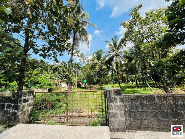 Land for sale in Pattambi, Palakkad