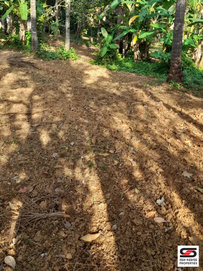 House plot for sale in Guruvayoor, Thrissur