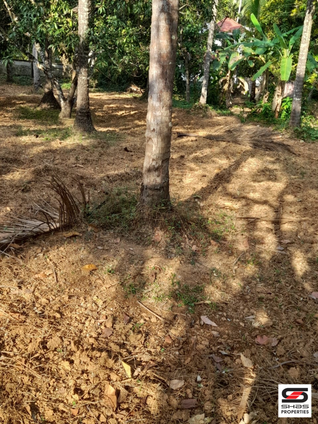 House plot for sale in Guruvayoor, Thrissur