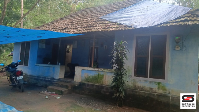 Land with old house for sale in Kottappady, Kochi