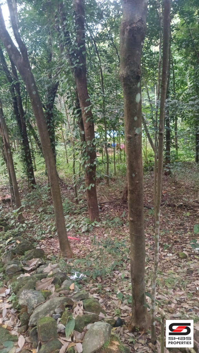Land with old house for sale in Kottappady, Kochi