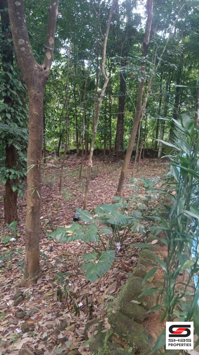 Land with old house for sale in Kottappady, Kochi