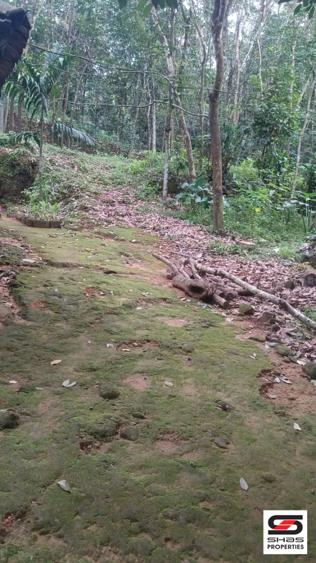 Land with old house for sale in Kottappady, Kochi
