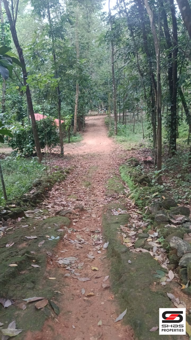 Land with old house for sale in Kottappady, Kochi