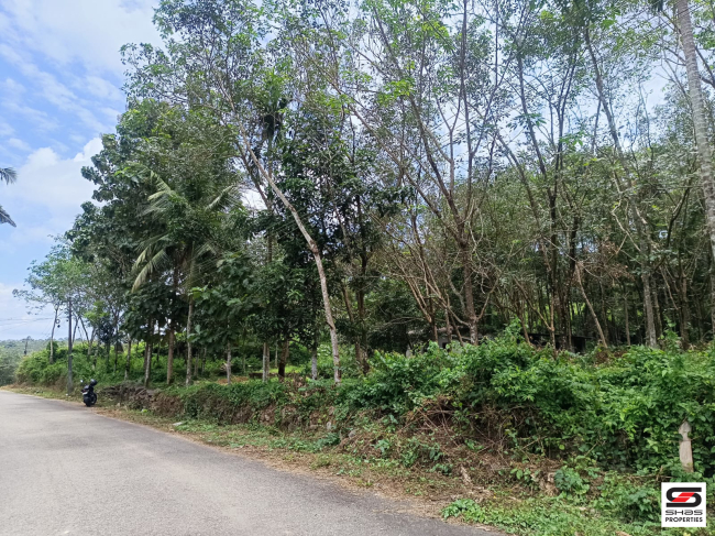 Land for sale near Kottarakkara, Kollam