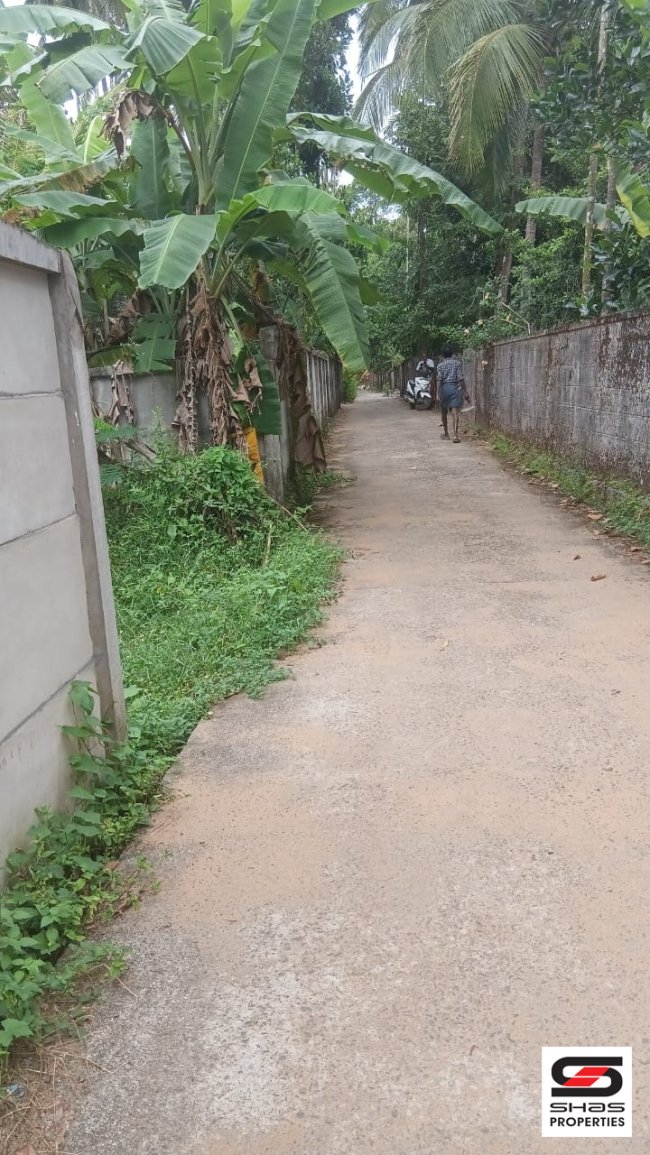 House plot for sale in Chavakkad, Thrissur