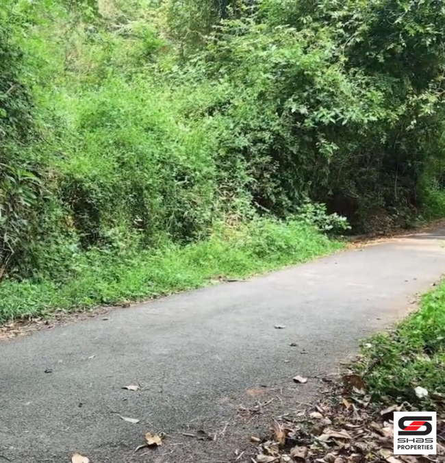 Layout land for sale at Kuruvattoor, Kozhikode