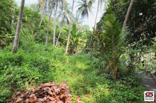 Layout land for sale at Kuruvattoor, Kozhikode