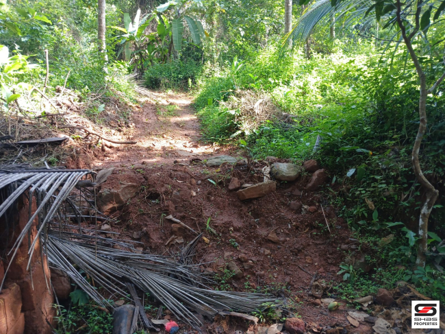 Layout land for sale at Kuruvattoor, Kozhikode