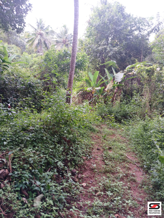 Layout land for sale at Kuruvattoor, Kozhikode