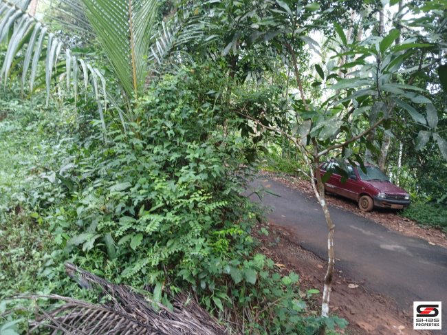 Layout land for sale at Kuruvattoor, Kozhikode