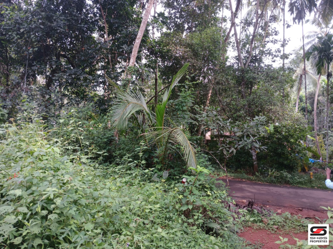 Layout land for sale at Kuruvattoor, Kozhikode