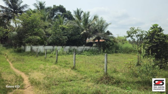 Land for sale in Erattayal, Palakkad