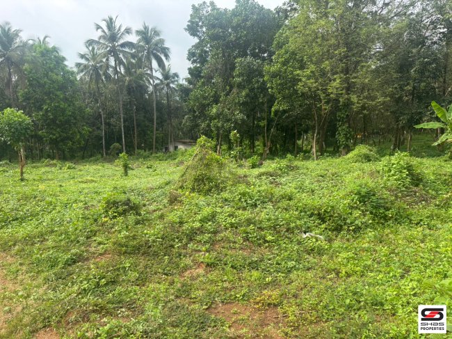 House plot for sale near Puthuppariyaram, Palakkad