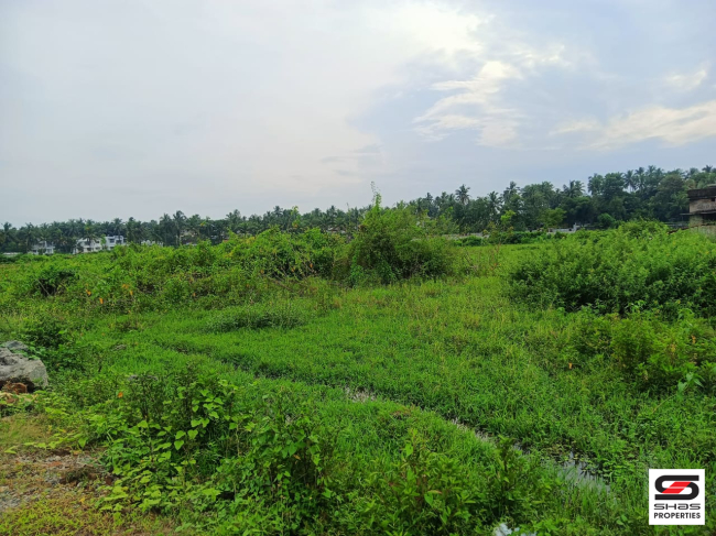 Plot for sale in Pezhumkara, Palakkad
