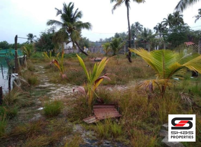 Fish farm for sale in Chellanam, Kochi