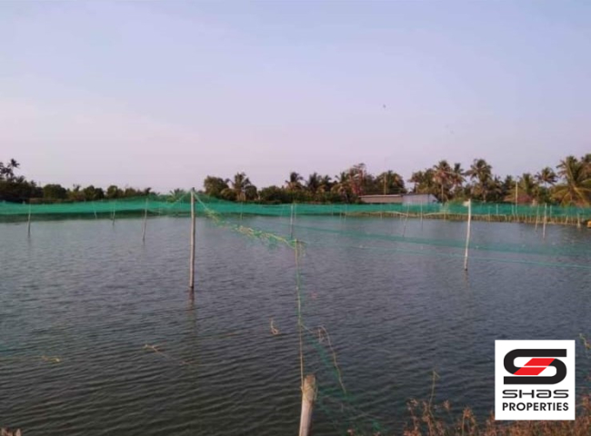 Fish farm for sale in Chellanam, Kochi